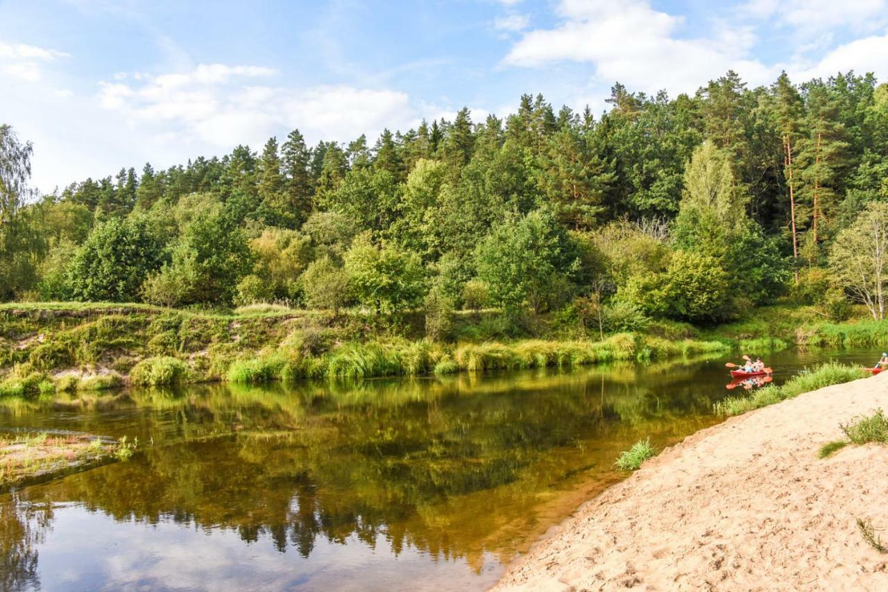 Vip Forest Dreams Villa Anykščiai 외부 사진