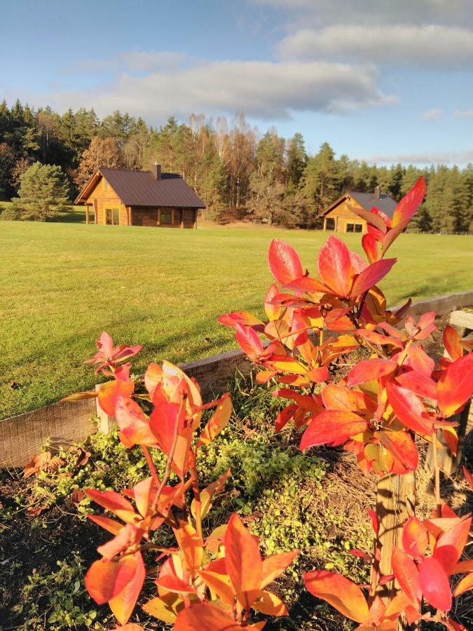 Vip Forest Dreams Villa Anykščiai 외부 사진