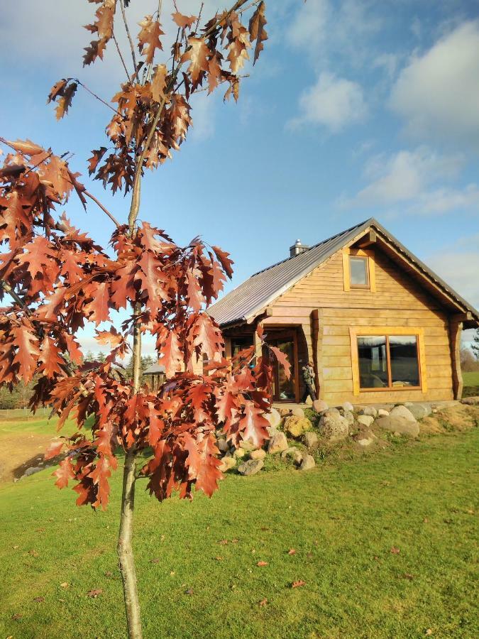 Vip Forest Dreams Villa Anykščiai 외부 사진