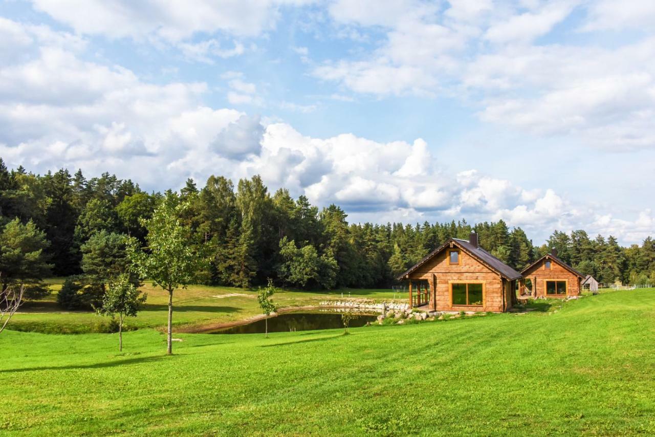 Vip Forest Dreams Villa Anykščiai 외부 사진