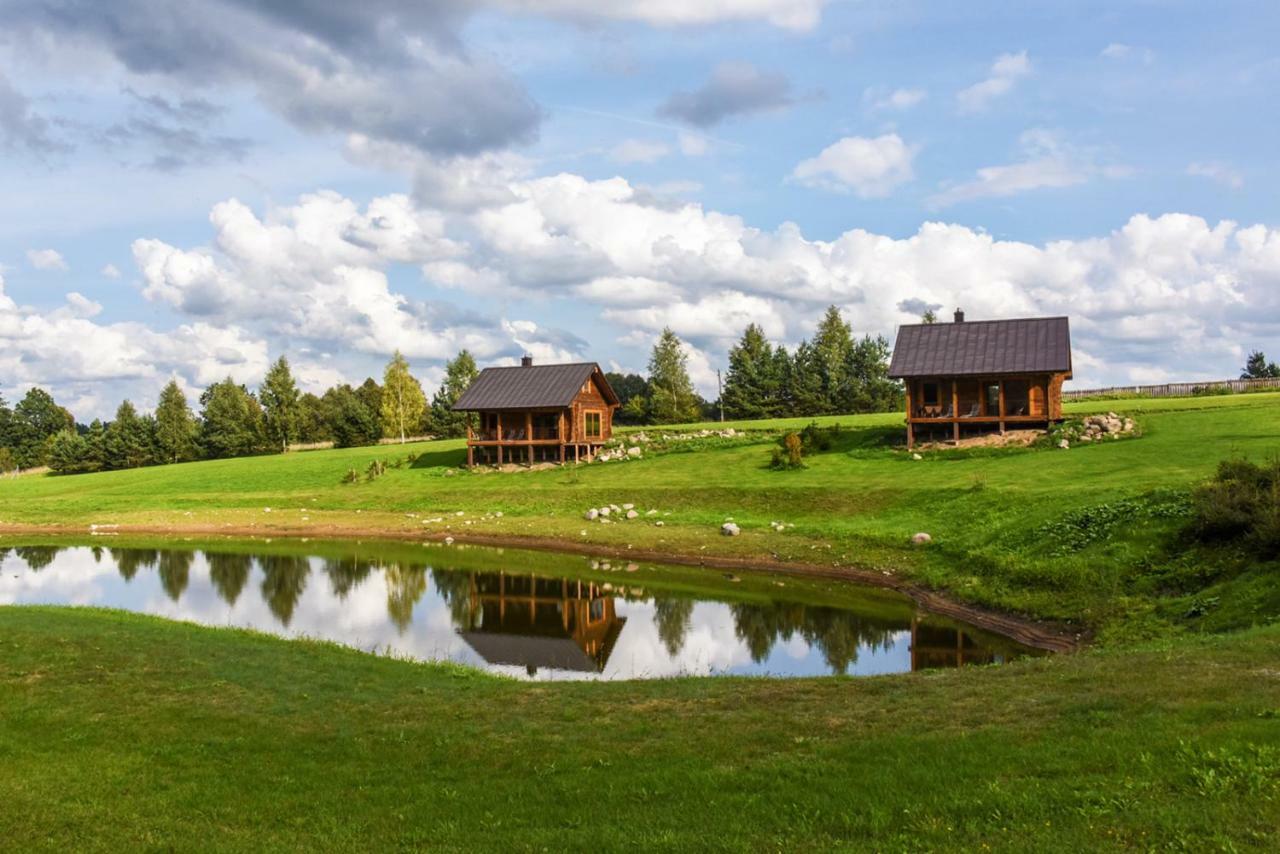 Vip Forest Dreams Villa Anykščiai 외부 사진