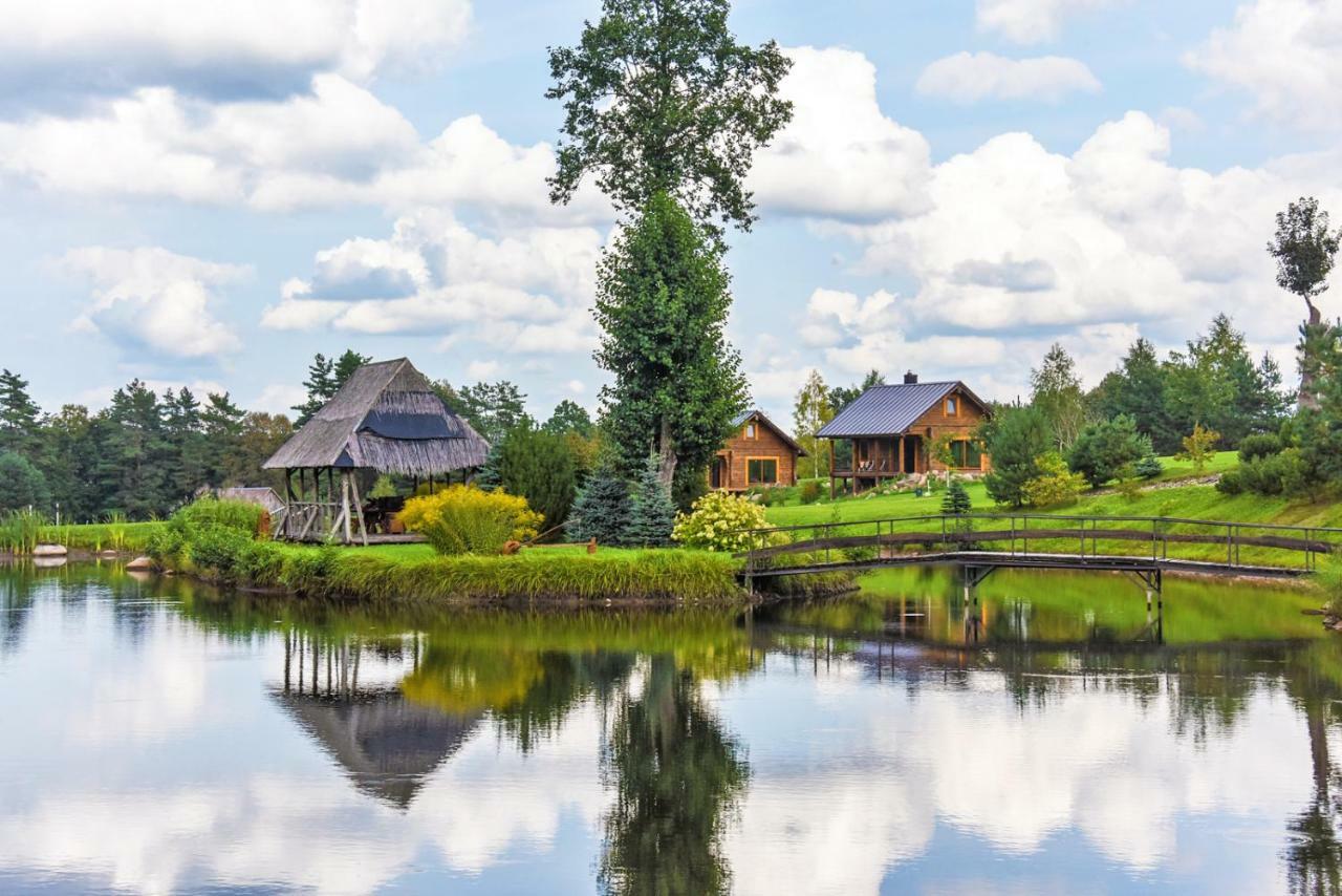 Vip Forest Dreams Villa Anykščiai 외부 사진